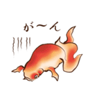 浮世絵金魚（個別スタンプ：8）