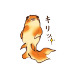 浮世絵金魚（個別スタンプ：10）
